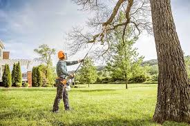 Best Weed Control  in Chickasaw, AL