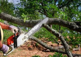 Best Soil Testing and Treatment  in Chickasaw, AL